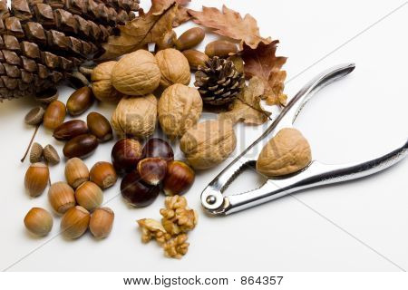 Komposition mit Herbstfarben Obst und nutcrackers