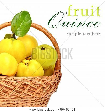 Ripe Quince In The Basket