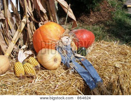 Herbst-Szene