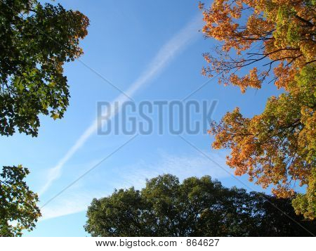 Herbst-Frame