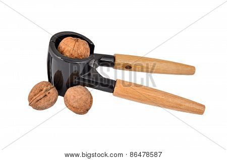Nutcracker and nut