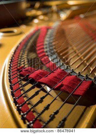 interior of a concert grand piano - shallow depth of field
