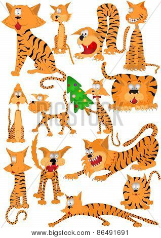 cat tiger character