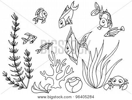 Tropical Fish Hand Drawn Design Set