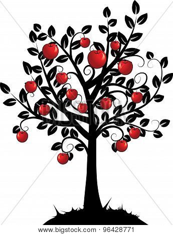 apple tree