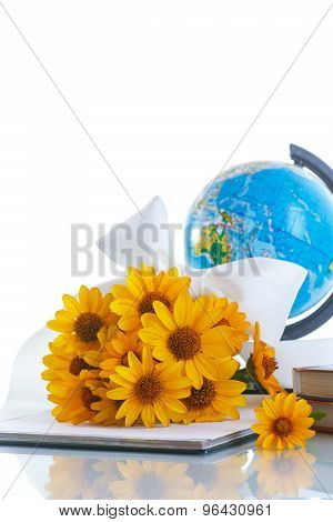 Globe With Books And Flowers