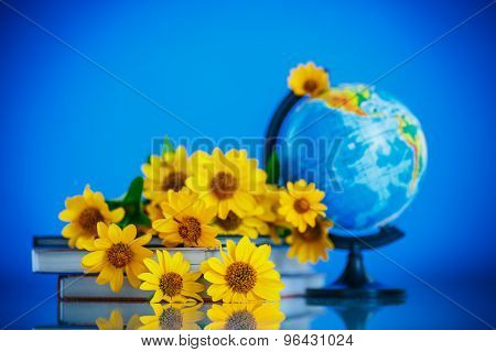 Globe With Books And Flowers
