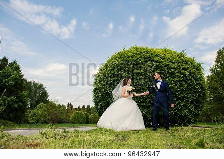Young Lovely And Cheerfull Wedding Couple Walking At The Park