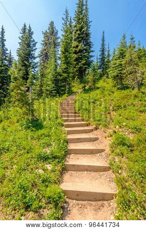 A stairs at trail in Blackwall Peak trail at Manning Park, British Columbia, Canada.