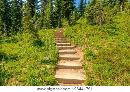 A stairs at trail in Blackwall Peak trail at Manning Park, British Columbia, Canada.