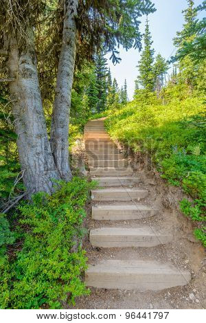 A stairs at trail in Blackwall Peak trail at Manning Park, British Columbia, Canada.