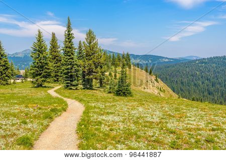 Beautiful Mountain Trail. Blackwall Peak Trail at Manning Park in British Columbia. Canada.