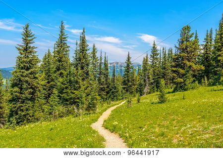 Beautiful Mountain Trail. Blackwall Peak Trail at Manning Park in British Columbia. Canada.
