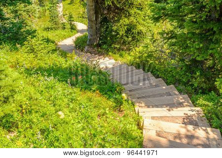 A stairs at trail in Blackwall Peak trail at Manning Park, British Columbia, Canada.