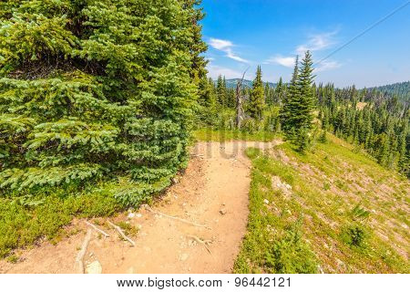 Beautiful Mountain Trail. Blackwall Peak Trail at Manning Park in British Columbia. Canada.