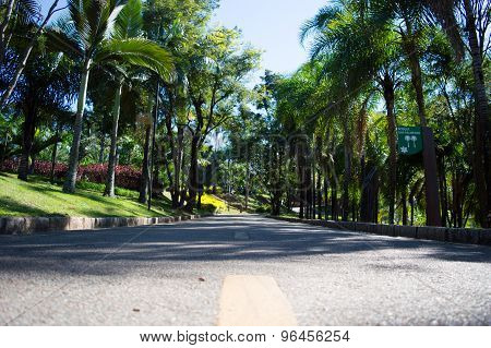 Estrada em meio a natureza