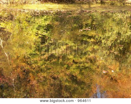 Herbst Blätter Spiegelbild im Wasser