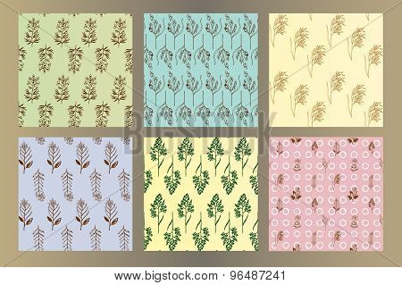 Set of seamless vintage hand drawn ink  herbal patterns
