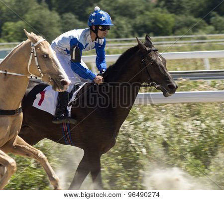 Horse Racing