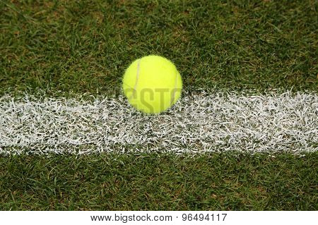 Tennis ball on grass tennis court