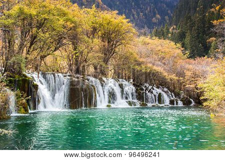 Arrow Bamboo Waterfall Jiuzhaigou Scenic