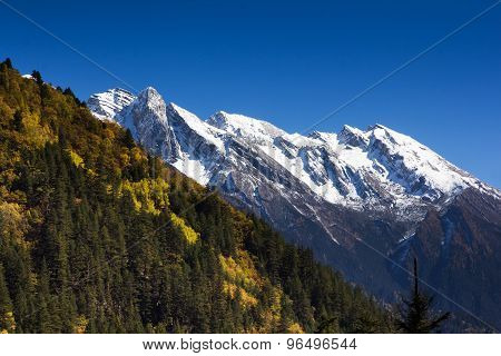 Mountain Snow