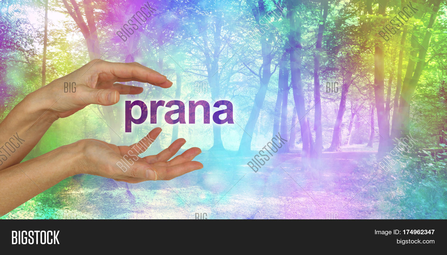 Beautiful Prana Image & Photo (Free Trial) Bigstock