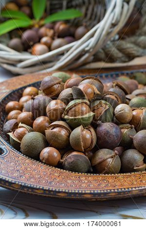 Macadamia nuts harvest close up with leaves