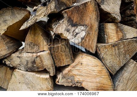 Wood for kindling fire. Raw. Environment. Cut trees