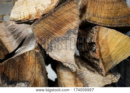 Wood for kindling fire. Raw. Environment. Cut trees