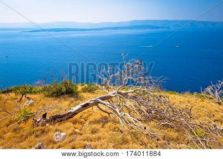 Island Of Brac Desert Coast View