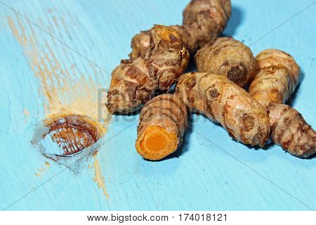 Fresh Turmeric or Curcuma root on blue wooden background with copy space selecive focus.