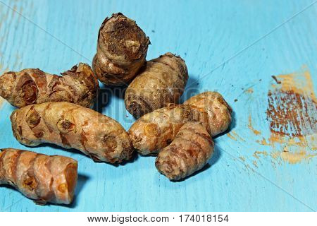Fresh Turmeric or Curcuma root on blue wooden background with copy space