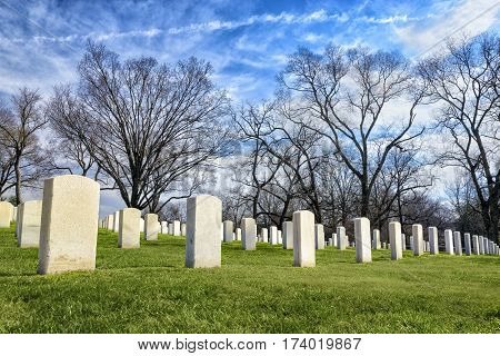 Rows of blank tombstones in a cemetery on an early spring day.