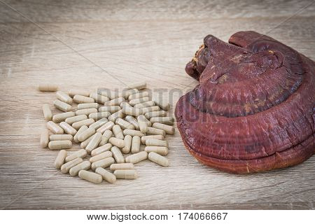 Ganoderma Lucidum Capsule - Ling Zhi Mushroom