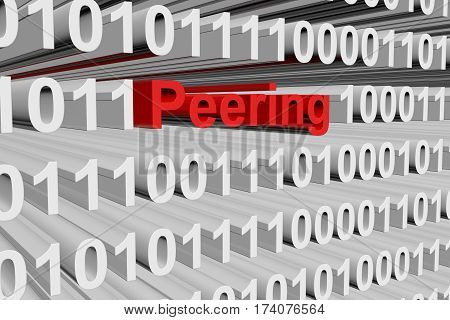 peering in the form of binary code, 3D illustration
