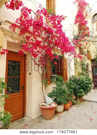 door architecture detail in house building with bougainvillaea Greece