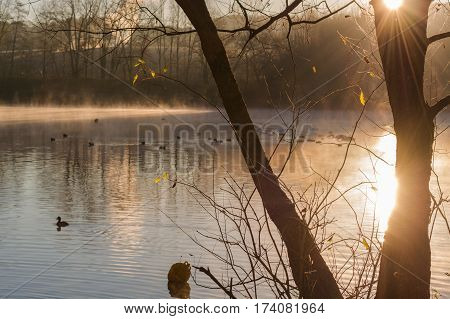 Morning fog and sun reflection on a small lake Abtskuecher pond called in Heiligenhaus Germany.