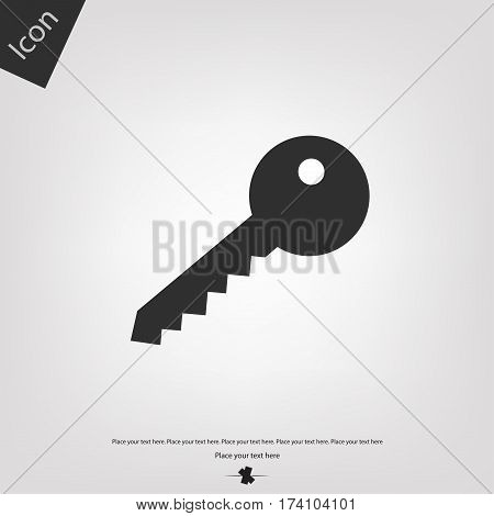 Key vector icon, gray background. Vector illustration.