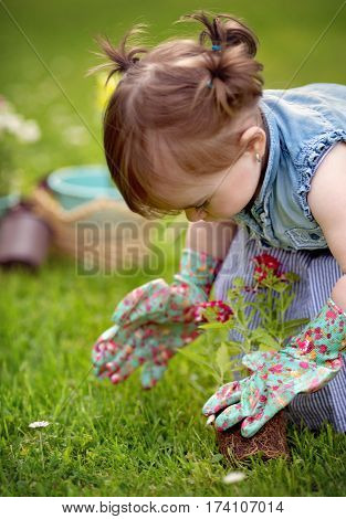 Little girl is planting flowers into the ground