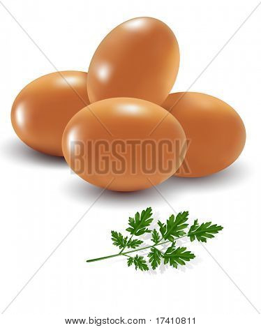Fotorealistické vektorové ilustrace čtyř vajec s petrželkou.