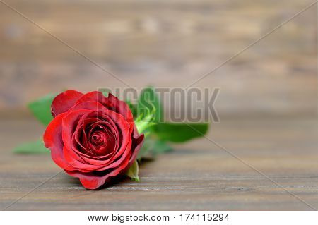 Single red rose on wooden background, horizontalimage