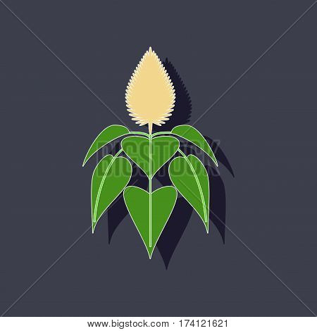 paper sticker on stylish background of herb amaranthus