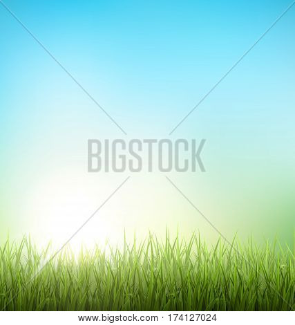 Green grass lawn with sunrise on blue sky. Floral nature spring background