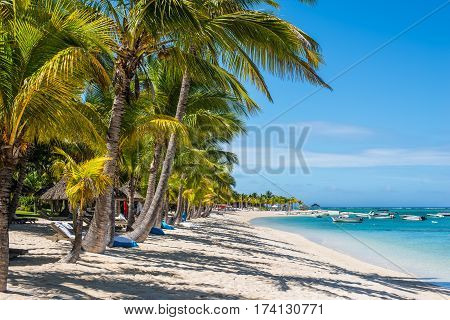 Le Morne Mauritius - December 11 2015: People are relaxing on the tropical Le Morne beach with coconut palms one of the finest beaches in Mauritius.