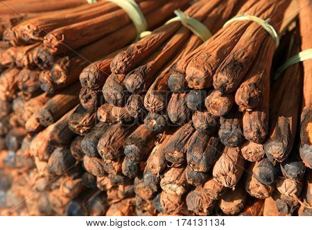 Tender palm shoots rich in fiber content grows in Southern India