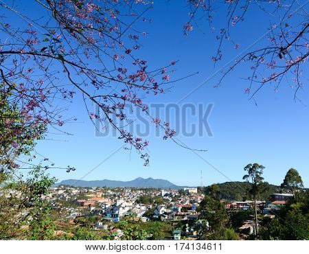 Cityscape Of Dalat, Vietnam