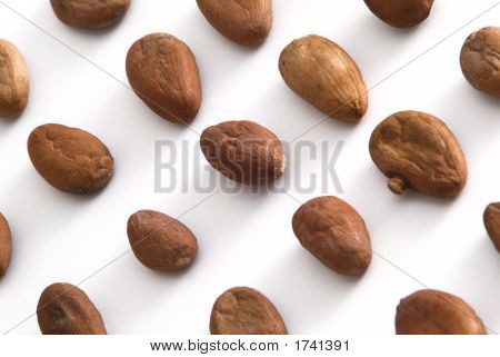 Cacaobonen