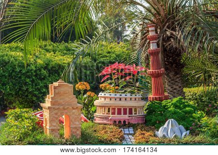 Beautiful Flower in park and garden in New Delhi, India