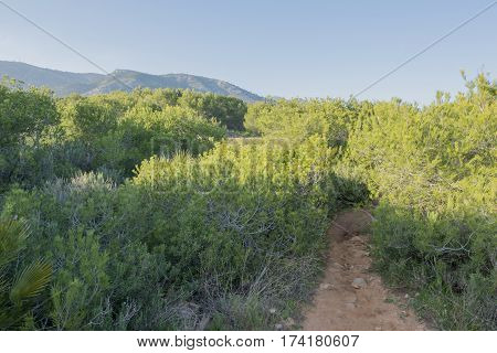 The sierra de irta in alcocebre Castellon